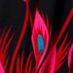 fuchsia peacock