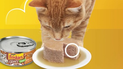 Friskies extra gravy store pate cat food