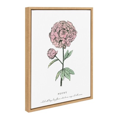 Natural Framed Peony Canvas Print, 18x24