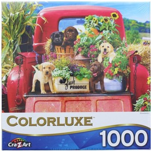Cra-Z-Art Stowaways 1000 Piece Jigsaw Puzzle - 1 of 4