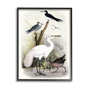 Stupell Industries Varied Crane Birds Gathered Riverbank Stream Botanicals Framed Giclee Art
