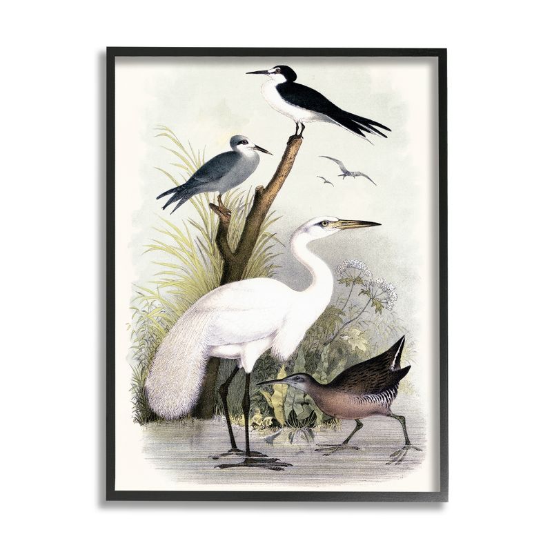 Stupell Industries Varied Crane Birds Gathered Riverbank Stream Botanicals Framed Giclee Art, 1 of 6
