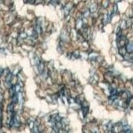 blue/ivory