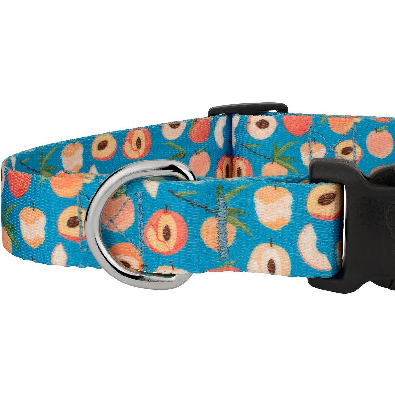 Country Brook Petz Deluxe Peaches Dog Collar - Made in the U.S.A., 5 of 6
