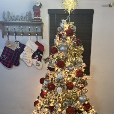 Guest review image 1 of 1, zoom in