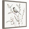 Amanti Art A Country Weekend XVII (Bird and Butterfly) by Lisa Audit Canvas Wall Art Print Framed 16 x 16-in. - 3 of 4