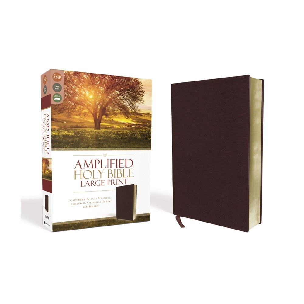 Amplified Bible-Am-Large Print - by Zondervan (Leather Bound)