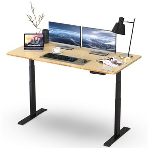 Rise Up - electric adjustable height standing desk - 1 of 4