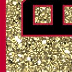 georgia bulldogs uga