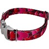 Country Brook Petz Premium Dog Collar - Affection Collection - 2 of 4