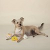 PetShop by Fringe Studio Soy Into You Mini Dog Toy Set - 3pk - 3 of 3