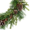 Northlight Mixed Birch and Cedar Iced Pinecone Artificial Christmas Wreath - 28" - Unlit - 4 of 4