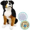 Bryson The Bernese Mountain Dog - 23 Inch Stuffed Animal Plush - By Viahart - 2 of 4
