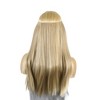 Unique Bargains Women's Straight Long Hair Hair Extensions High Temperature Fiber Mixed Light Gold Tone 1 Pc - 2 of 3
