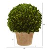 Nearly Natural 15-in Boxwood Ball Preserved Plant in Planter - 2 of 3