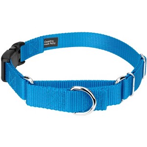 Country Brook Petz Heavy Duty Nylon Martingale Dog Collar with Deluxe Buckle - 30+ Vibrant Color Options - 1 of 4