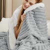 Bedsure Ultra-Plush Fleece Blanket - Warm Winter Blanket for Bed, Soft Home Decor Throw for Couch, All-Season Coziness - 2 of 4