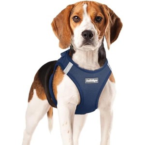 rabbitgoo Small Dog Harness, Step-in Soft Mesh Puppy Vest with Safety Buckle, Breathable Reflective Pet Harness for Small Medium Dogs, Navy Blue XL - 1 of 1