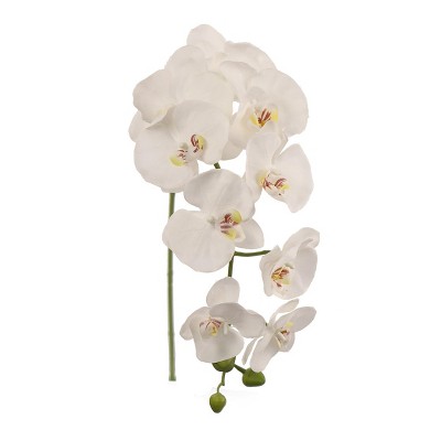 Floral Home 33.5" White Phalaenopsis Stem with 9 Flowers - 12-Piece