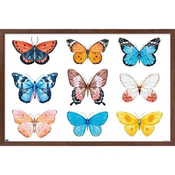 Trends International Watercolor Butterflies Framed Wall Poster Prints