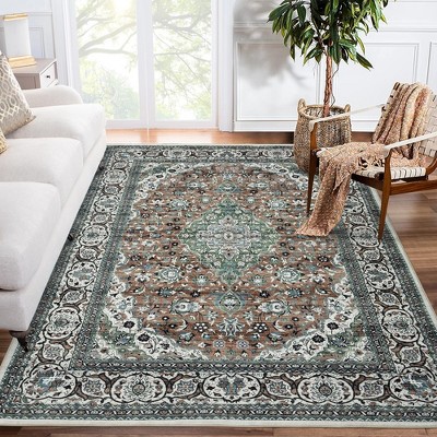 WhizMax Area Rug Vintage Medallion Rugs Stain & Water Resistant Washable Throw carpet for Living Room Bedroom
