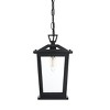 Elegant Lighting Berks 7 inch Outdoor Pendant in Black - 2 of 4