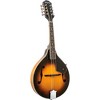 Washburn M1K-A Americana Series A-Style Mandolin Pack - 3 of 4