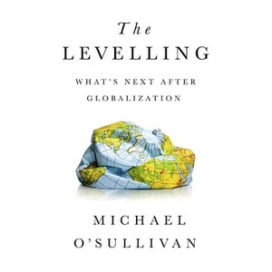 The Levelling - by  Michael O'Sullivan (Hardcover) - 1 of 1
