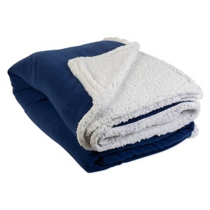 Solid Polar Fleece Sherpa Blanket Blue - Design Imports