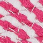 white rose red stripes