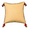 18"x18" Velvet Reversible Tassel Square Throw Pillow - Edie@Home - image 2 of 4