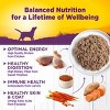 Wellness Complete Health Chicken & Sweet Potato Formula Natural Canned Dog Food, 12.5-oz, Case of 12 - 4 of 4