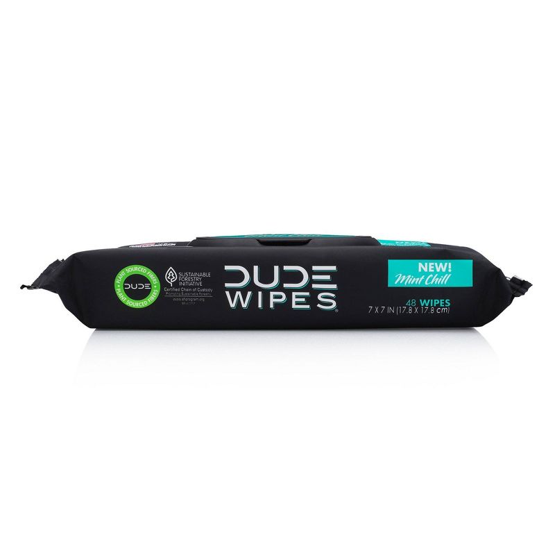 Dude Wipes Mint Chill Flushable Personal Wipes - Eucalyptus Scent - 48ct, 4 of 8