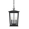 Elegant Lighting Berks 9.5 Inch Outdoor Pendant in Black - 2 of 4