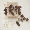 Storied Home Pinecone Garland with Seed Pods and Glitter, Natural and Gold Color - 2 of 2