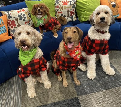Pedgot Christmas Dog Pajamas Red and Black Buffalo Plaid Puppy Jammies  Plaid Dog Clothes Doggie Holiday Costumes Onesies Pet Pajamas for Dogs and