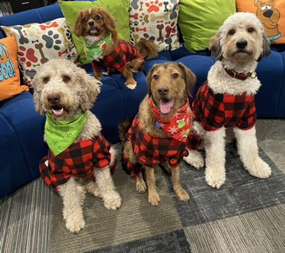 Target matching christmas discount pajamas with dog