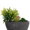 Unique Bargains Artificial Plants Plastic Blue Green 5.91"x1.18"x5.91" 1Pcs - 4 of 4