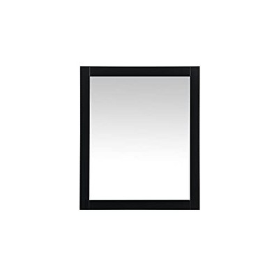 Elegant Lighting Aqua vanity mirror 30x36 inch in black