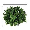 Sullivans Boxwood Half Orb Decorative Filler 5"H Green - 2 of 2