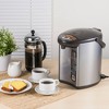 Zojirushi CD-JWC30HS Micom Water Boiler & Warmer, 3.0 Liter, Silver Gray,  Made in Japan 