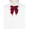 INSPIRE CHIC Women's Retro Velvet Ribbon Pre-Tied Big Bowknot Brooch Pin - 4 of 4