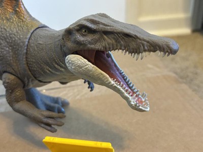 Guest review image 2 of 6, zoom in