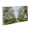 Stupell Industries Blooming White Tree Orchard, 17" x 7" - 3 of 4