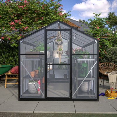 NicBex 6x10 ft Polycarbonate Greenhouse with Raised Base and Anchor Aluminum Heavy Duty Walk-in Greenhouses for Outdoor Backyard in All Season, Black