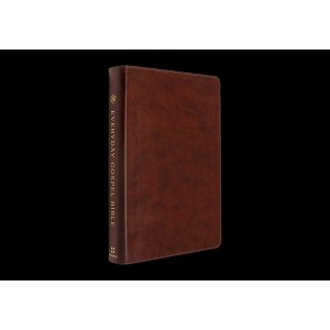 ESV Everyday Gospel Bible - (Leather Bound) - 1 of 1