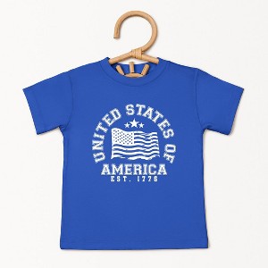 The Juniper Shop USA Flag Circle Toddler Short Sleeve Tee - 1 of 2