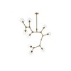 Elegant Lighting Cavoli 9 - Light Chandelier in  Brass - 2 of 4