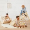 Tiny Land® 7-in-1 Montessori Climbing Set with Play Pad - 2 of 4