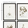 Plum & Post Framed Sepia-Tone Botanical Prints, Set Of 4 - 2 of 3